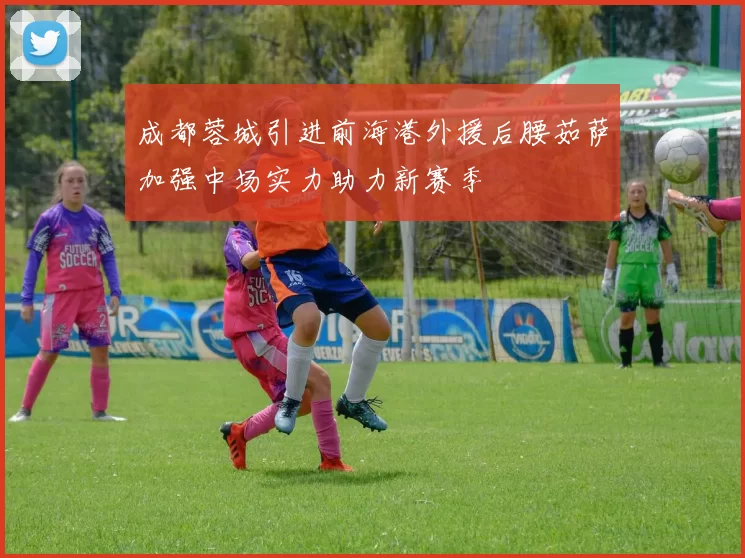 成都蓉城引进前海港外援后腰茹萨加强中场实力助力新赛季